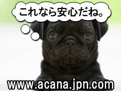 ����Ȃ���S���ˁB