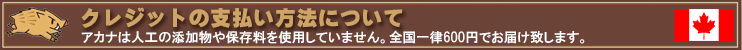 NWbg̎x@ɂ
