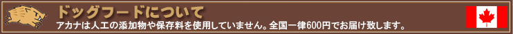�h�b�O�t�[�h�ɂ���
